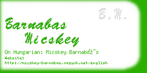 barnabas micskey business card